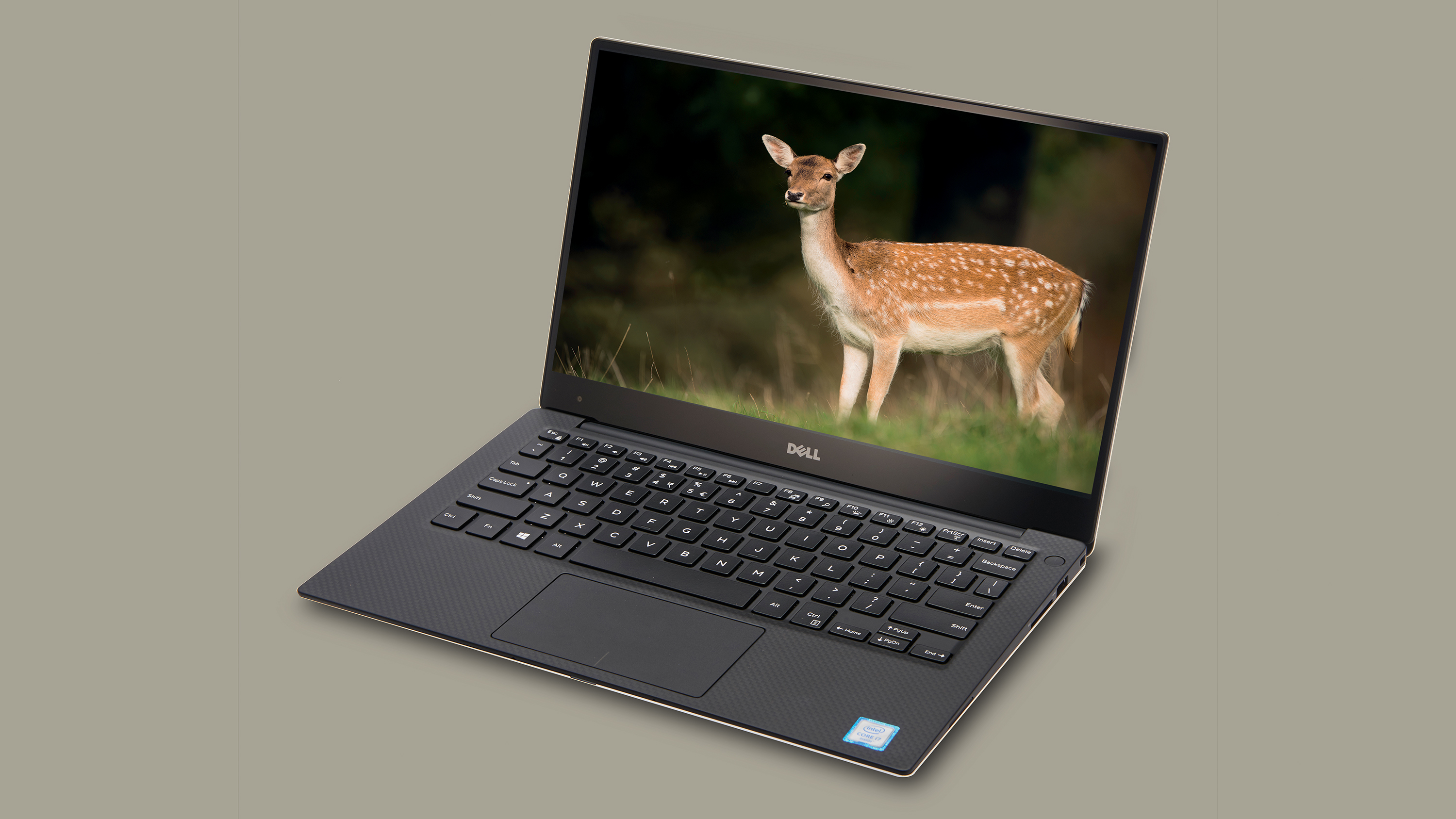 Dell XPS 13