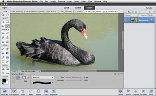 adobe photoshop elements 14 problem with batching