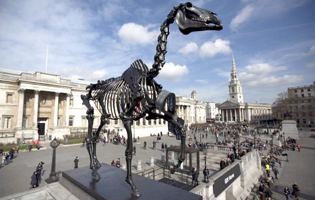 horse-plinth.jpg