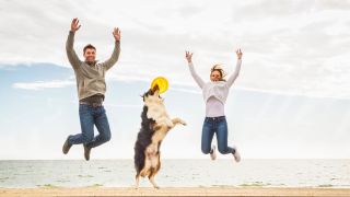 Couple and dog jumping in the air by ocean