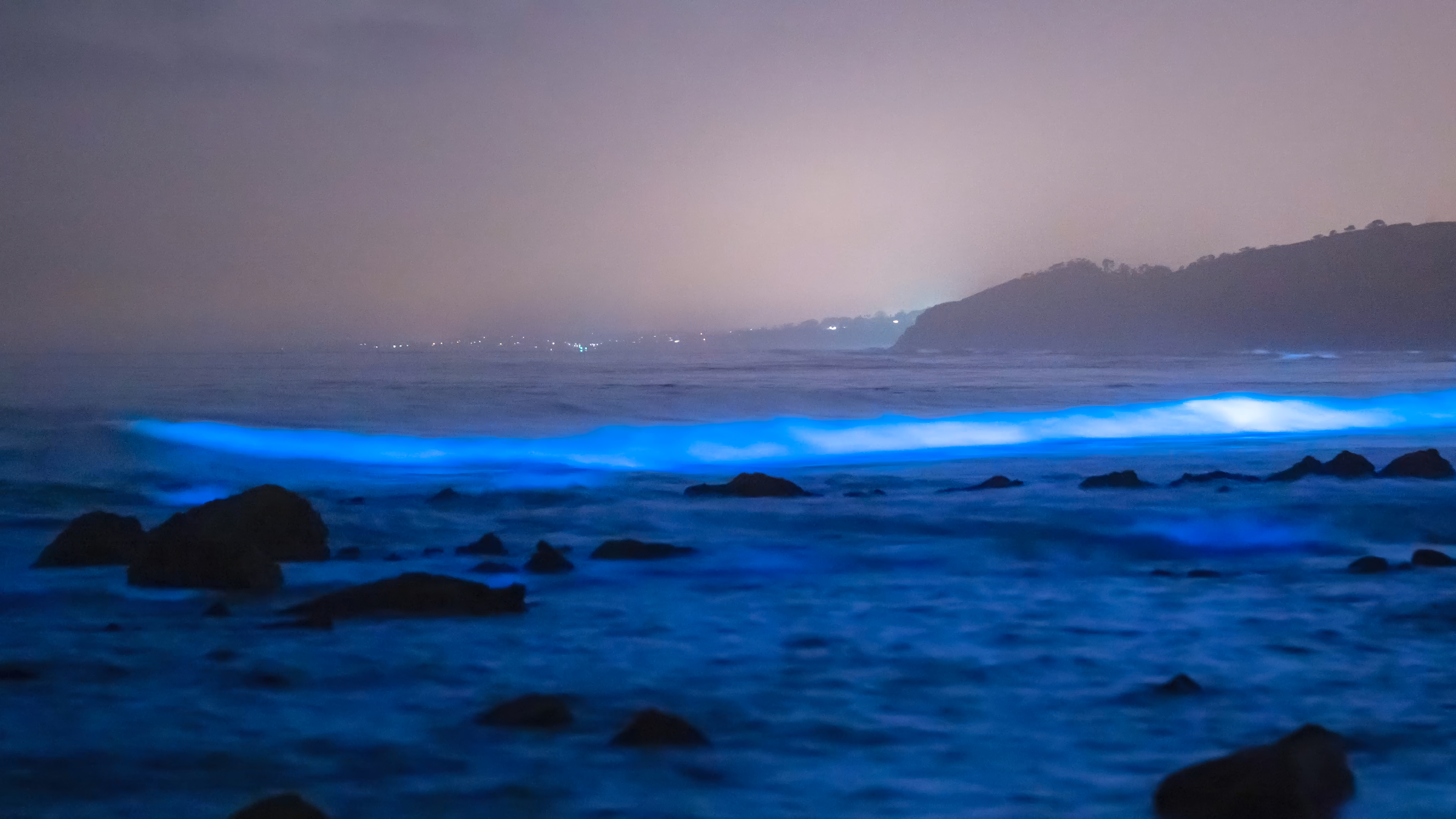 Bioluminescent waves on the shore.