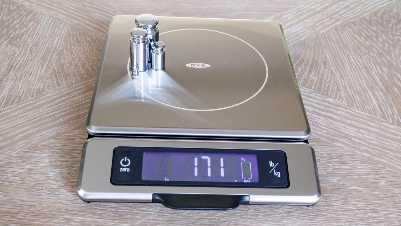 OXO Good Grips 11lb Food Scale, weighing 170 g
