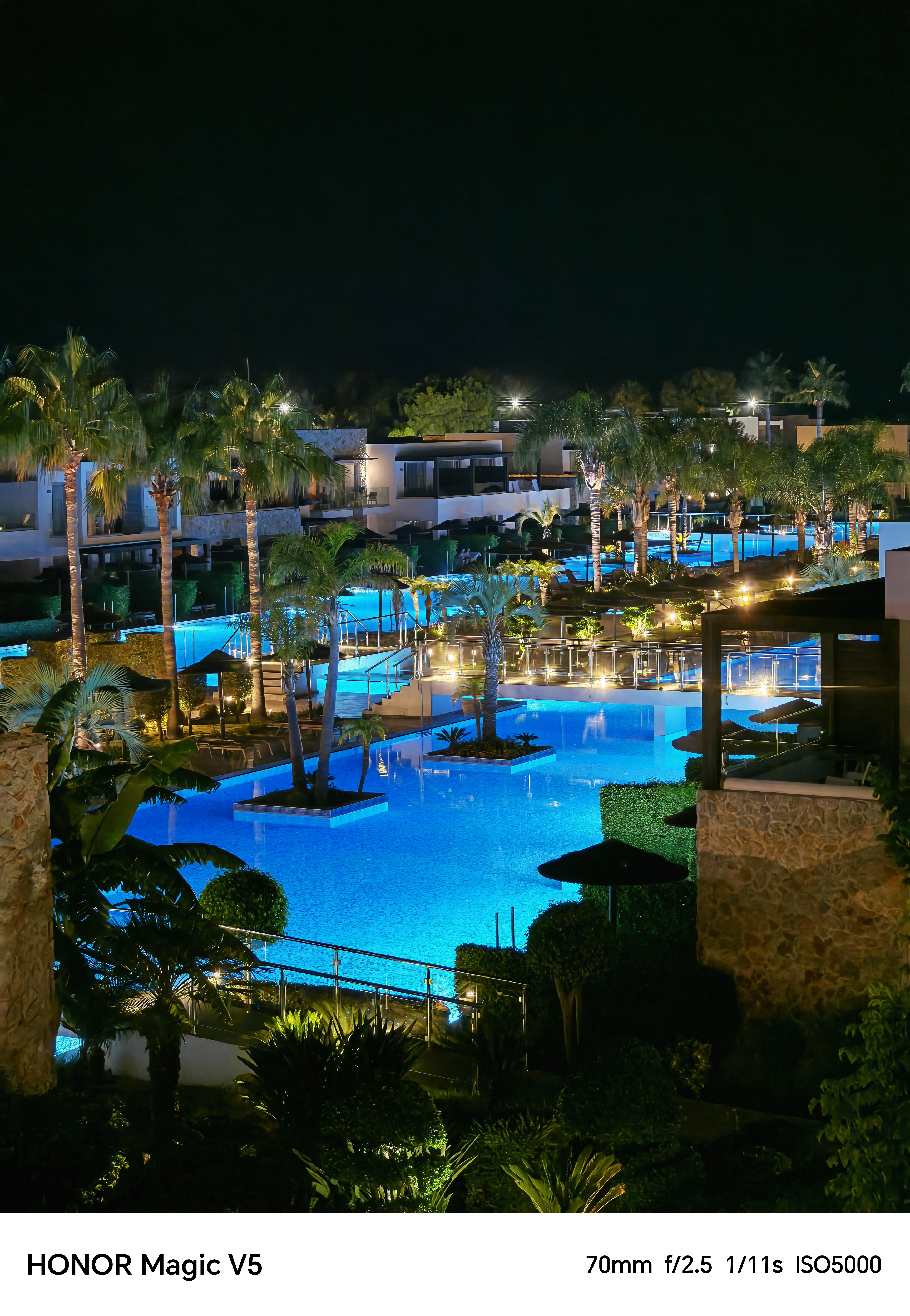 A pool lit up at night surrounded by palm trees