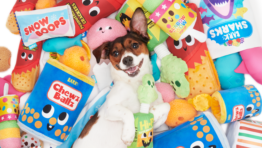 Small dog lying on back surrounded by Bark-branded toys