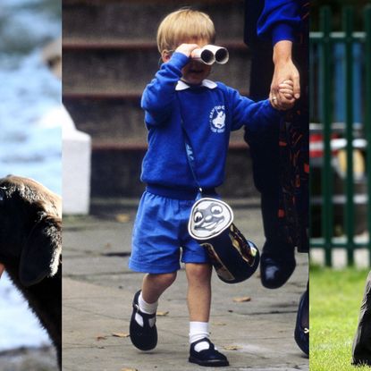 Fun, Recreation, Competition event, Child, Player, Sports equipment, Style, Play, 