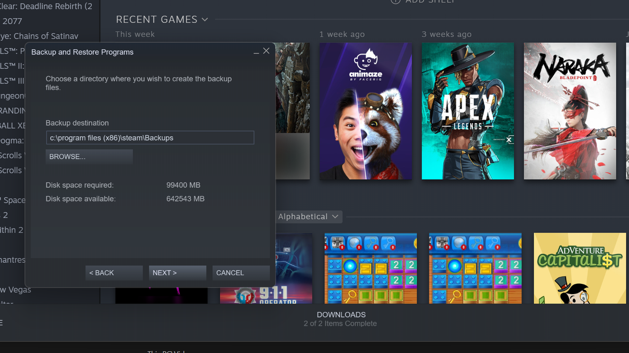 Steam Library Backup Process