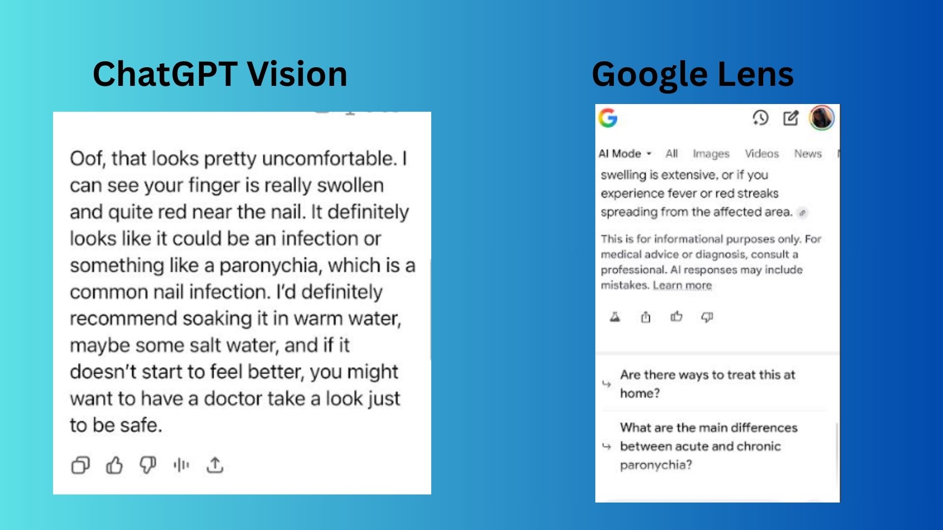 ChatGPT Vision vs Google Lens screenshot