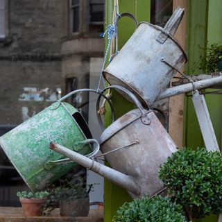 Three rusty metal watering cans hanging in garden