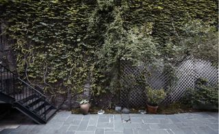 Side street of the building, grey concrete paved floor, small black stairwell with hand rail, mesh fence with planters at the base and thick bushes and hedges at the top of the shot