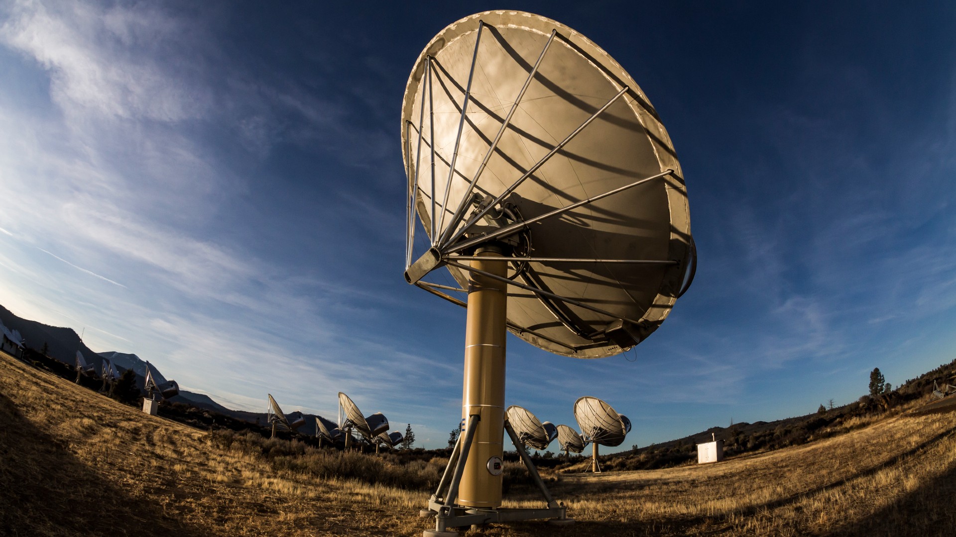 large antennae dishes point up at the sky in a desert