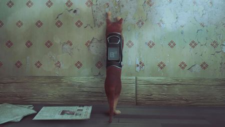 Stray Scratch locations