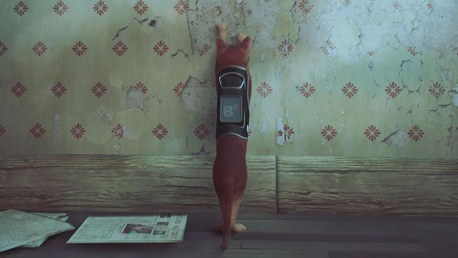 All of the best Stray scratch locations | GamesRadar+