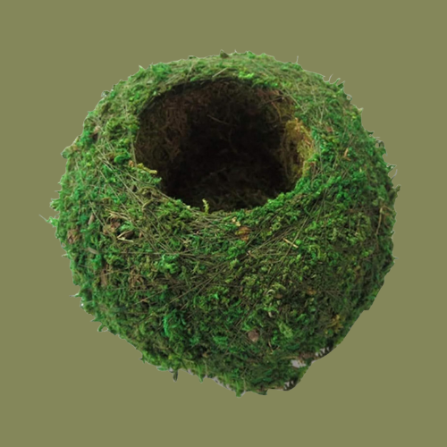 Ligeinsrk, Six-Inch Moss Ball Flower Pot