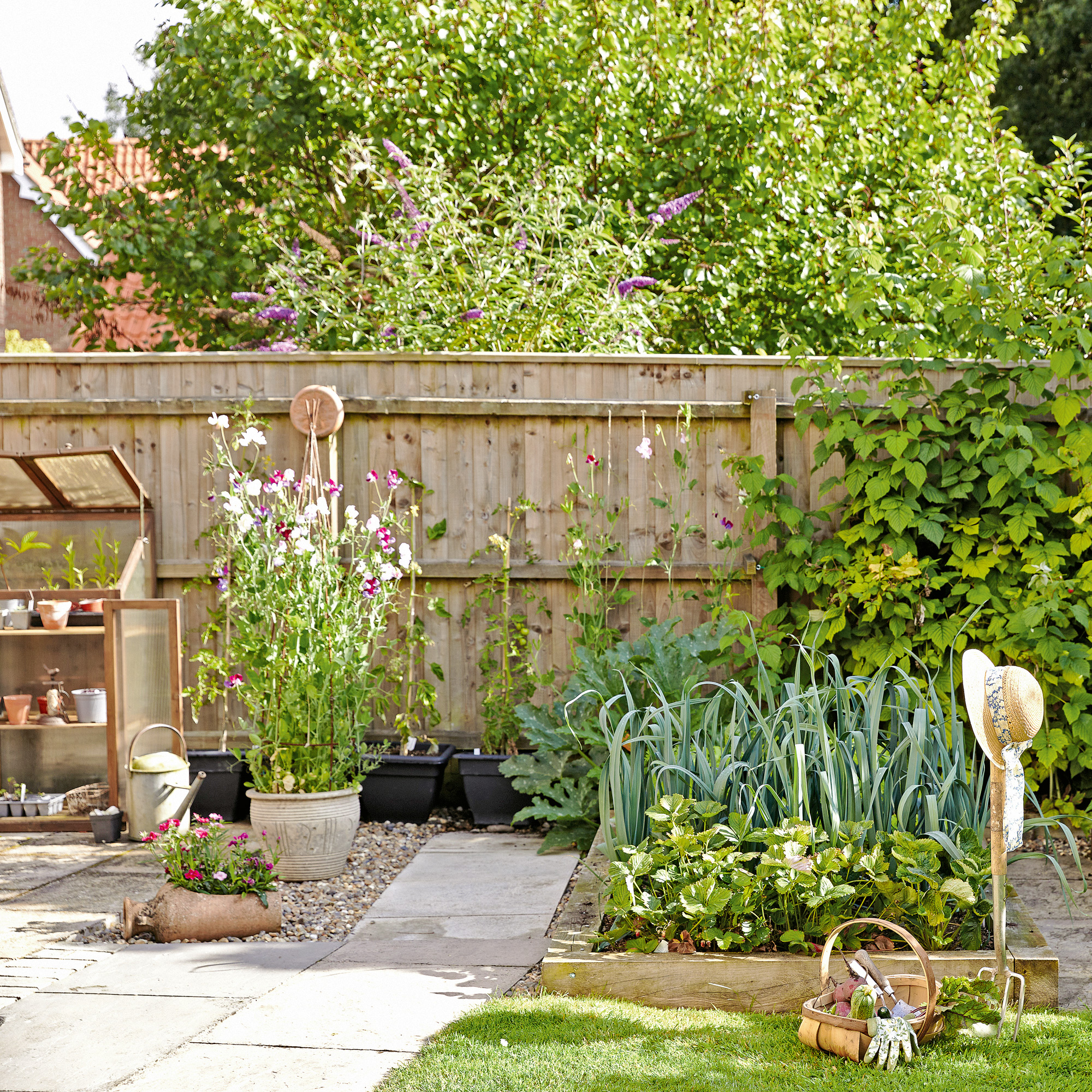 a vegetable plot beside a mini greenhouse and a space in the lawn