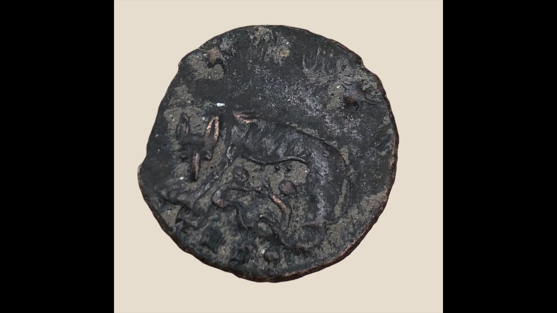 The archaeologists have also found several coins at the site, including this portraying the Roman myth of Romulus and Remus being suckled by a she-wolf.