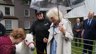 Queen Camilla helps present two Shetland ponies with an edible cake during a visit to Redwings Horse Sanctuary at Anna Sewell House