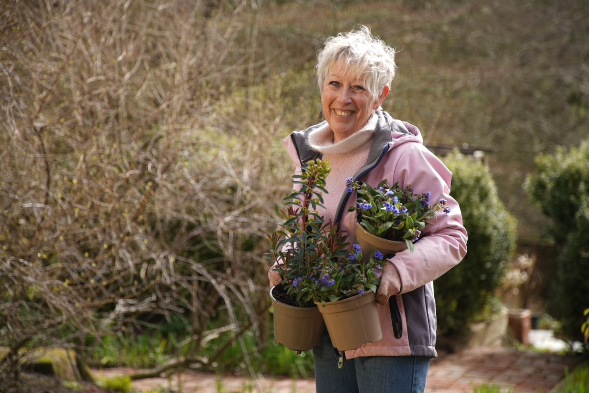 Spring Gardening With Carol Klein Tips Advice What Happens What To Watch 2444