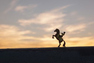 Born Free sees a mounted riot cop strike a heroic pose against the sunset... on Wandsworth Bridge