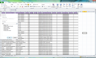 Excel: Filter Tables