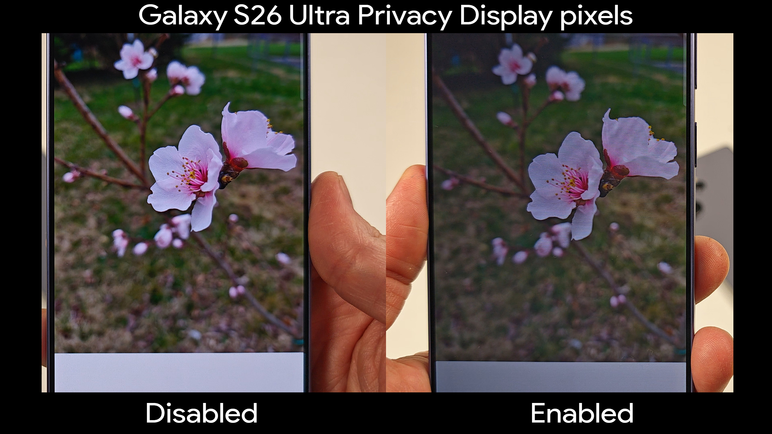 The difference in image contrast when Privacy Display is enabled and disabled on a Samsung Galaxy S26 Ultra