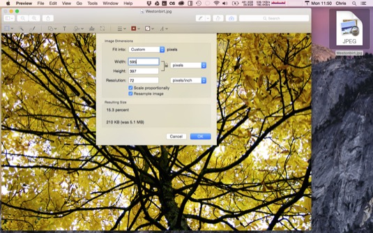 Preview can crop and scale images