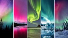 montage of images of the northern lights from around the globe