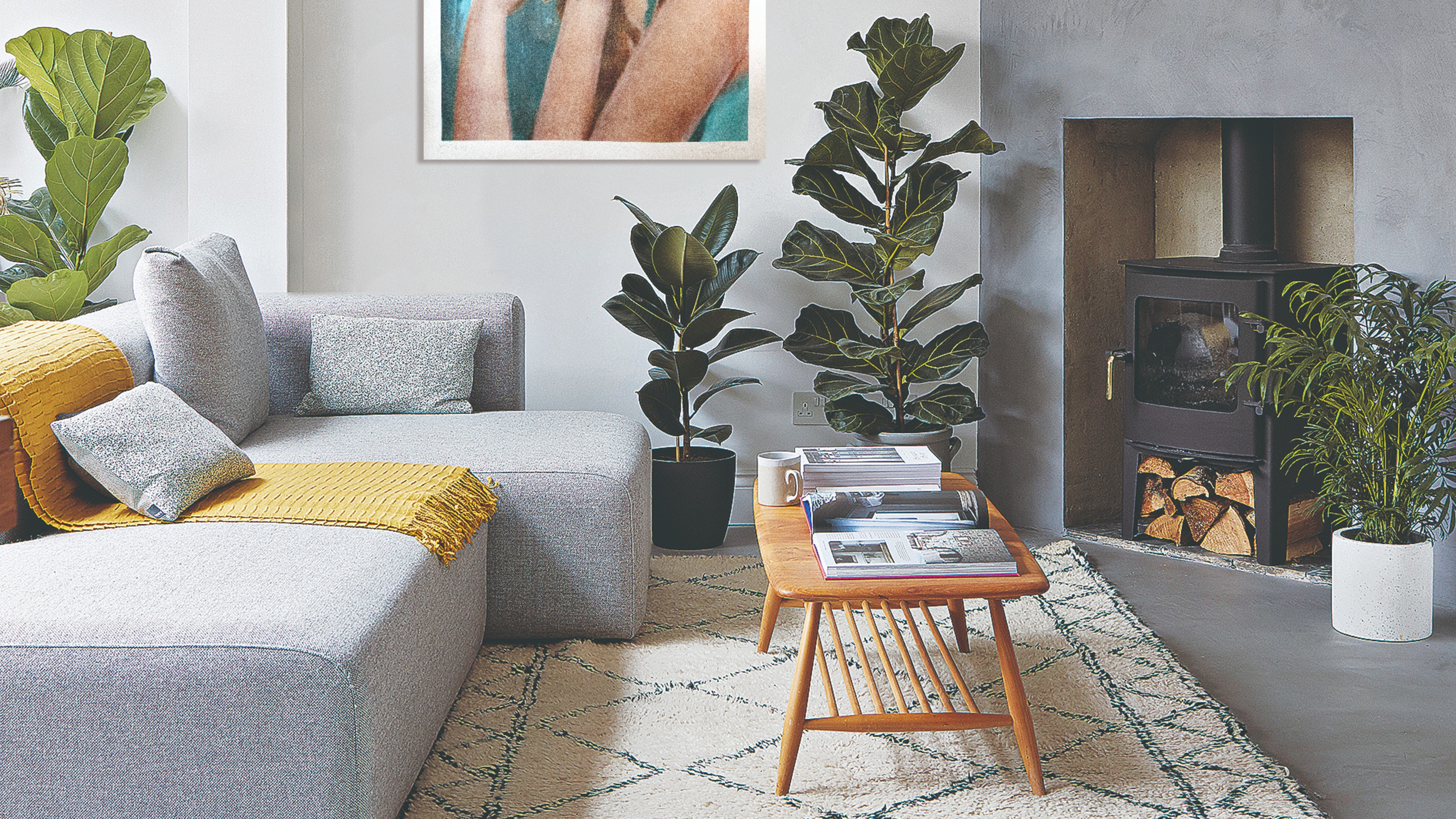A modern living room with a low grey sofa and large houseplants