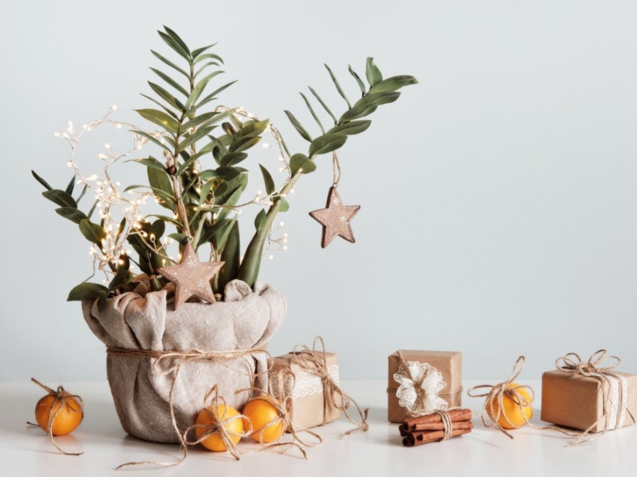 A potted zz plant decorated with string lights and ornaments sits next to boxes, clementines, and cinnamon sticks wrapped in twine