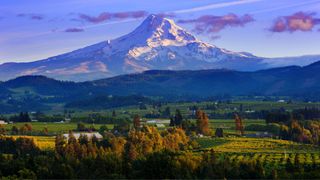 mountain and vineyard in Oregon, USA