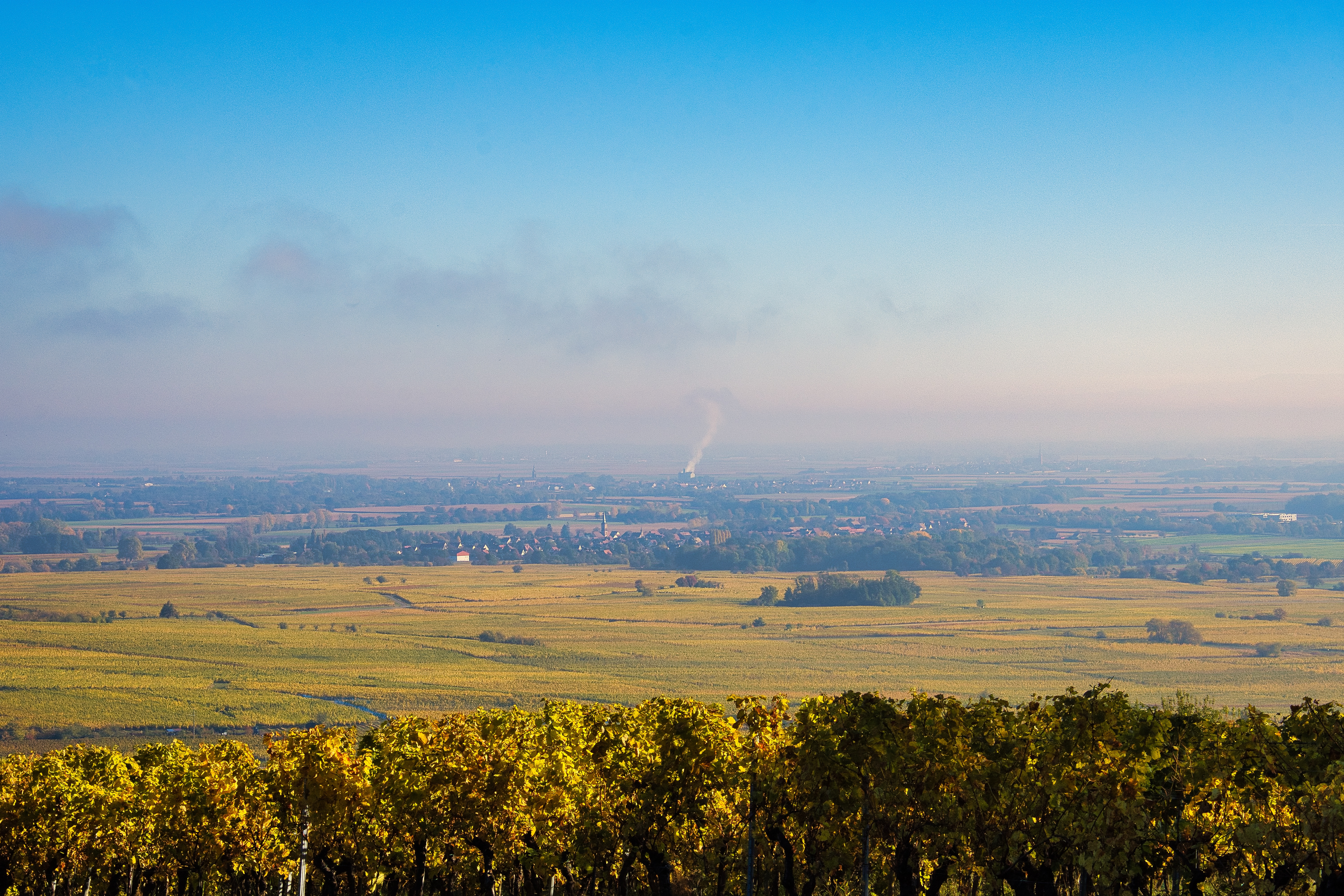 GuruShots - March 2026