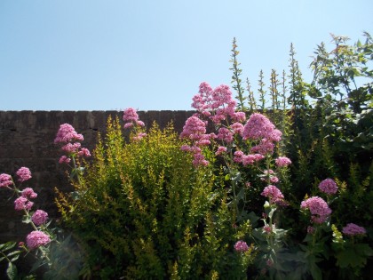 Nikon Coolpix S31 review