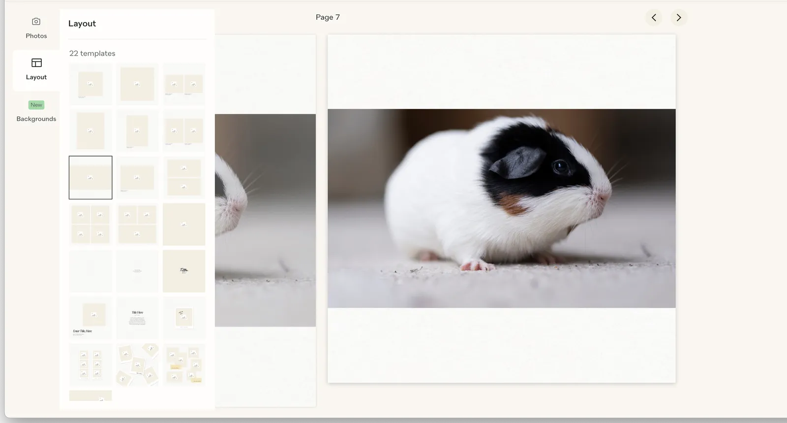 Two page previews on Papier's photo book service, each featuring an image of a guinea pig. One preview is larger than the other.
