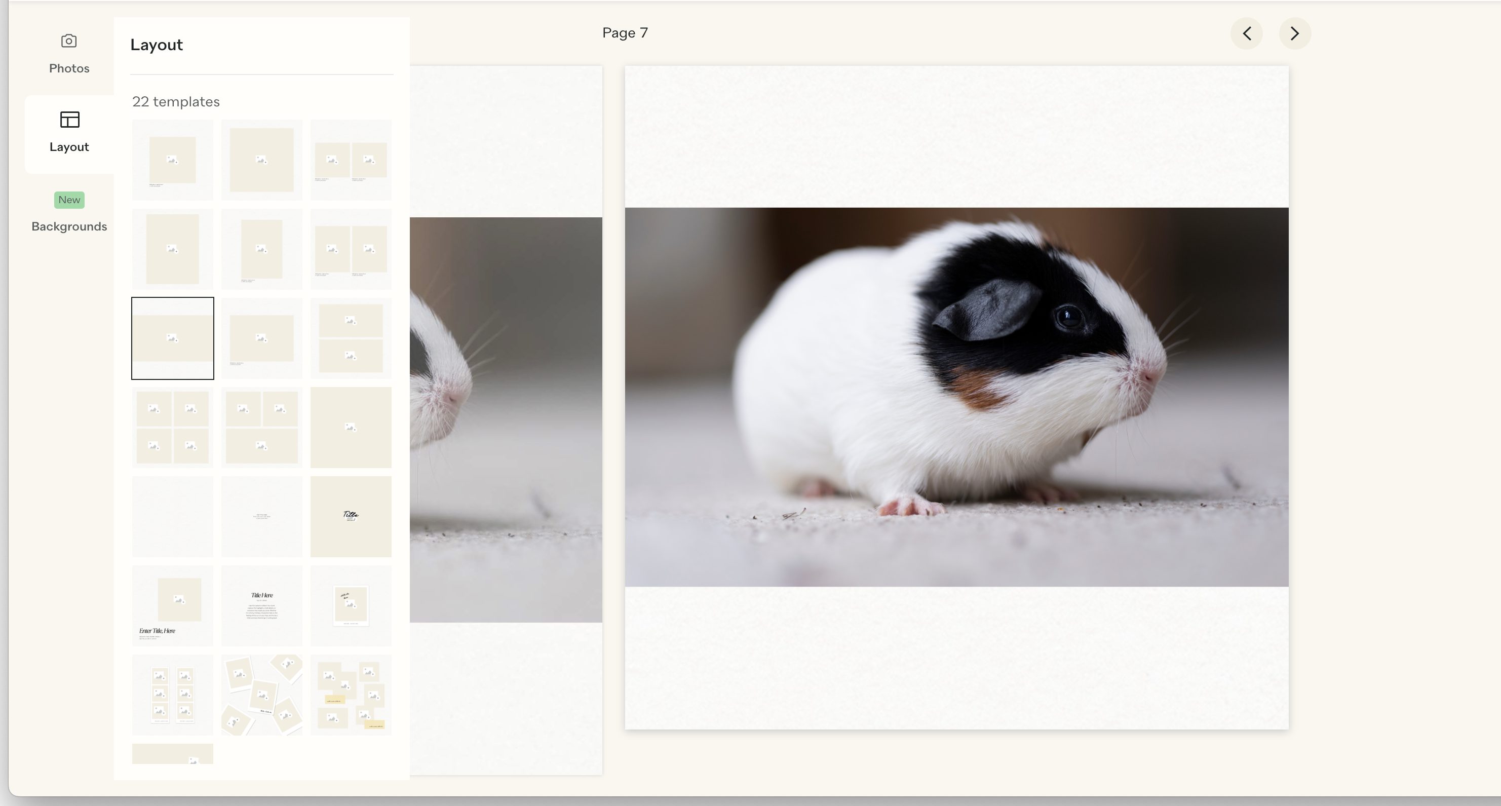 Two page previews on Papier's photo book service, each featuring an image of a guinea pig. One preview is larger than the other.