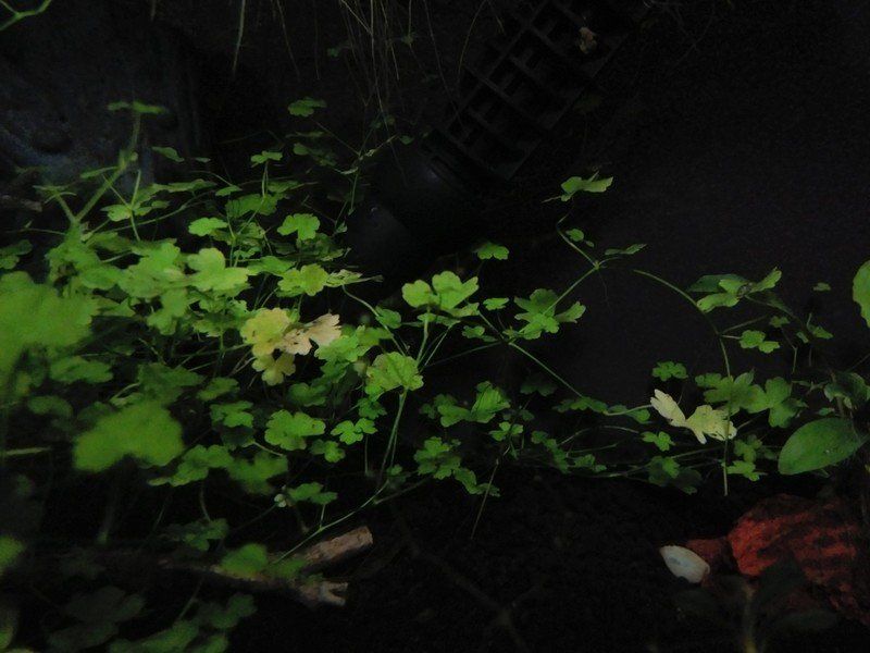 HDR shot of an aquarium with the lights off