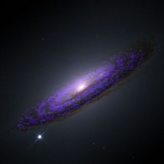 A Hubble Space telescope image of NGC 4526, overlaid with our molecular gas observations from CARMA. The black hole sits in the very center of the galaxy.