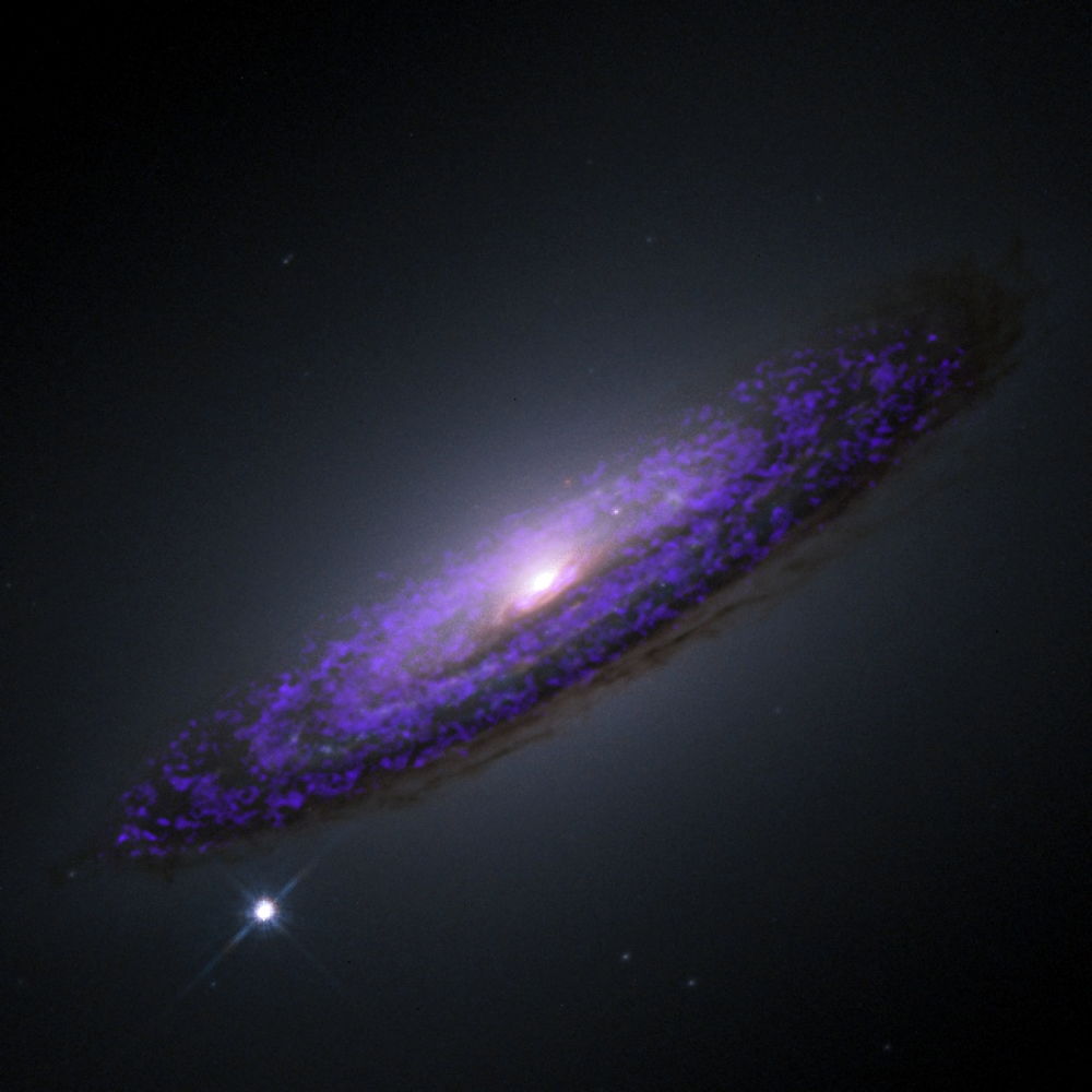 A Hubble Space telescope image of NGC 4526, overlaid with our molecular gas observations from CARMA. The black hole sits in the very center of the galaxy.