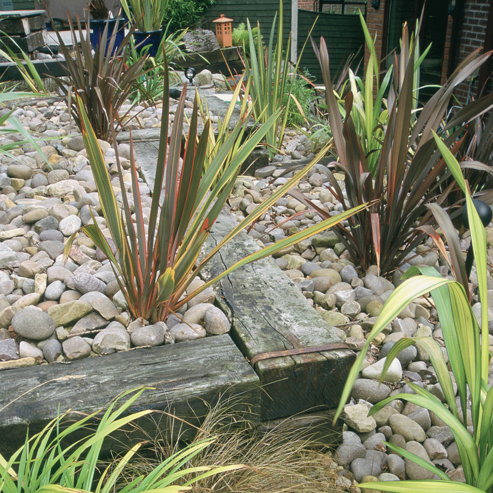 garden area with stones and plants