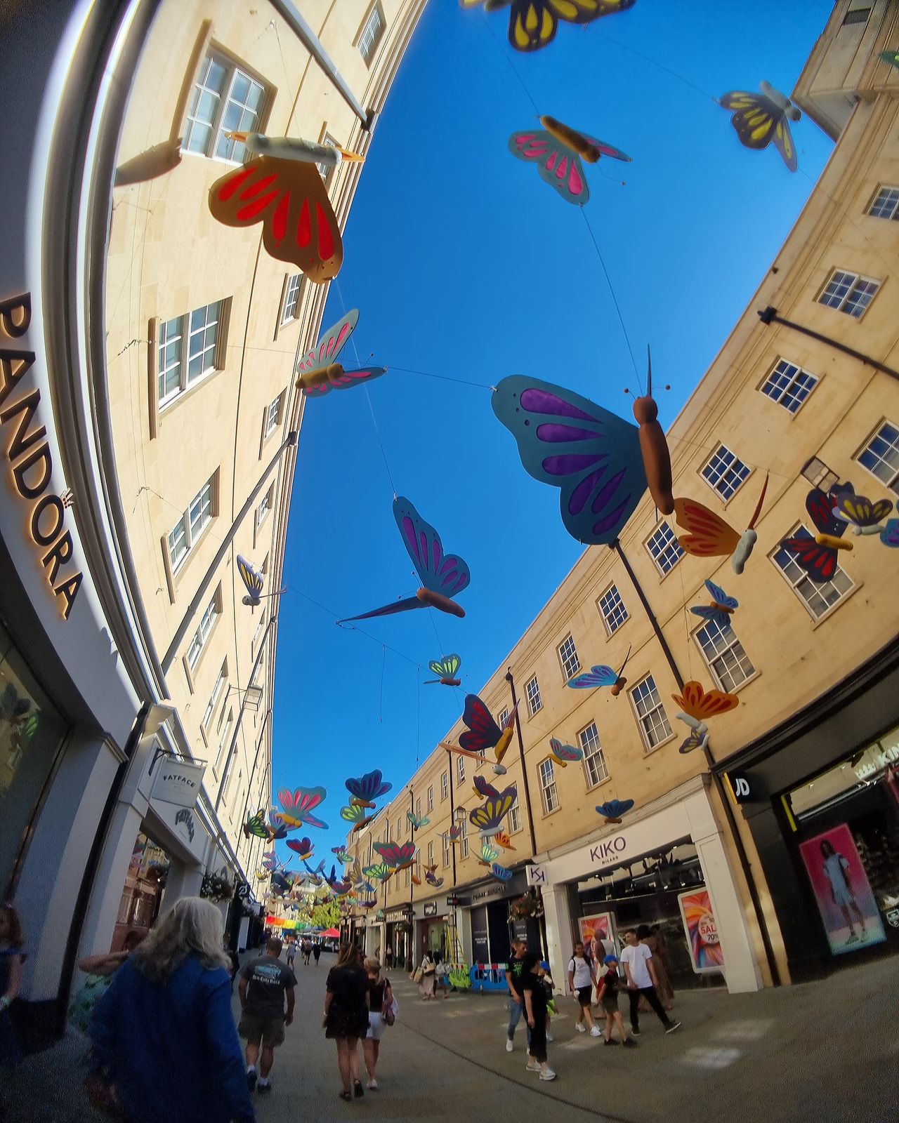 Moment Fisheye Lens Review