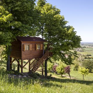 tree house with trees and stair