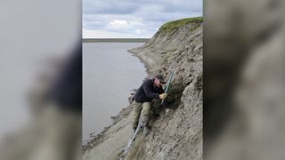 Paleobiologist Greg Erickson excavates fossils along the Colville River in northern Alaska.