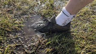 Keen Hightrail EXP in muddy water