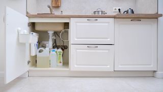 Cabinet open underneath a kitchen sink showing plumbing