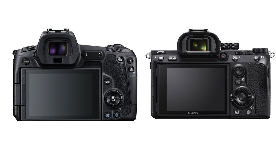 Canon EOS R vs Sony A7iii Digital Camera World