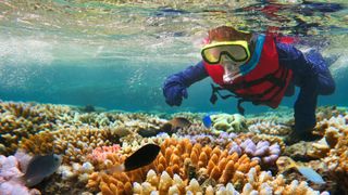 Child snorkelling in Great Barrier Reef, Queensland, Australia