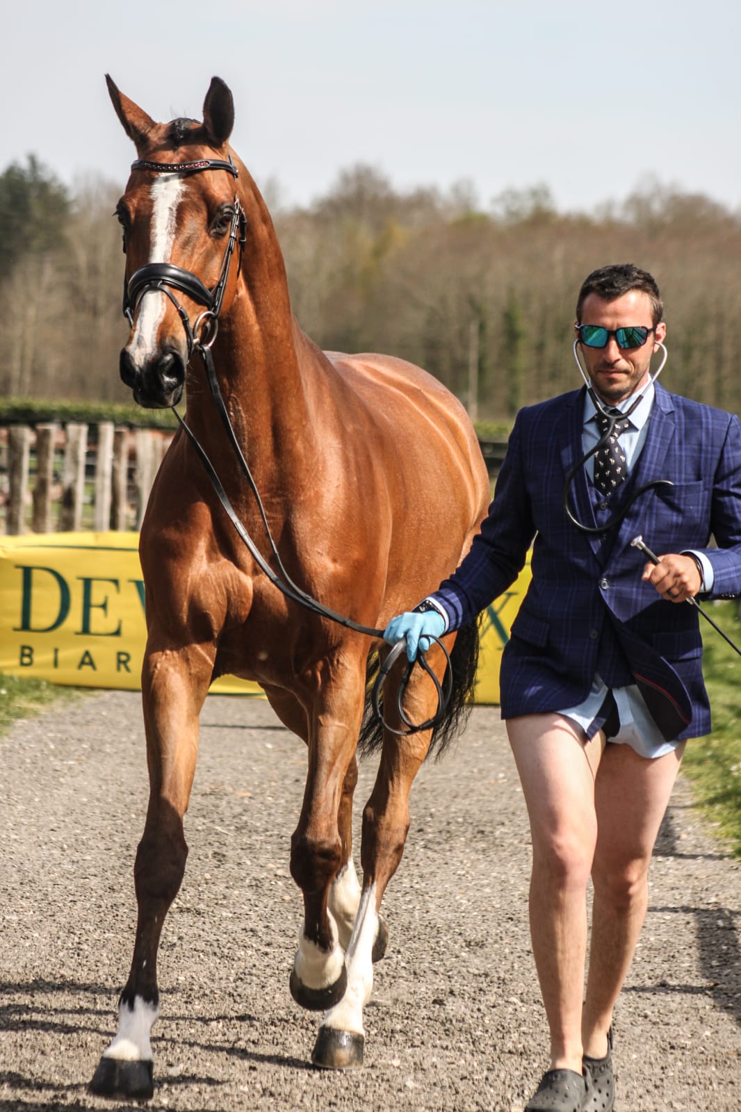 Sebastain Cavillon Trot Up 2 .jpg