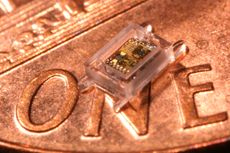 The University of Michigan's Phoenix medical computer