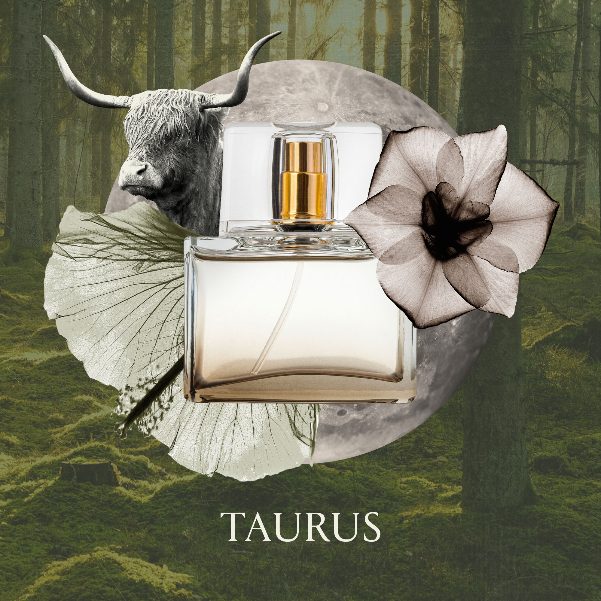 fragrance horoscope