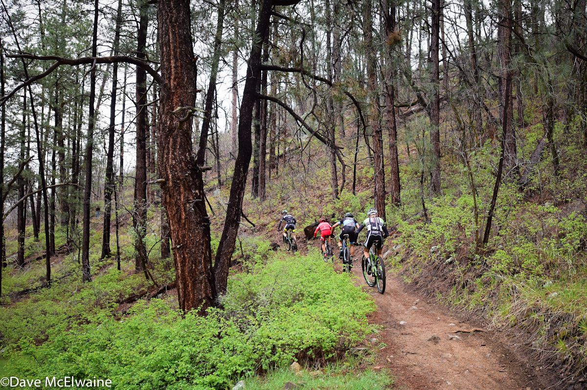The leaders climbing switchbacks at the ten-mile mark