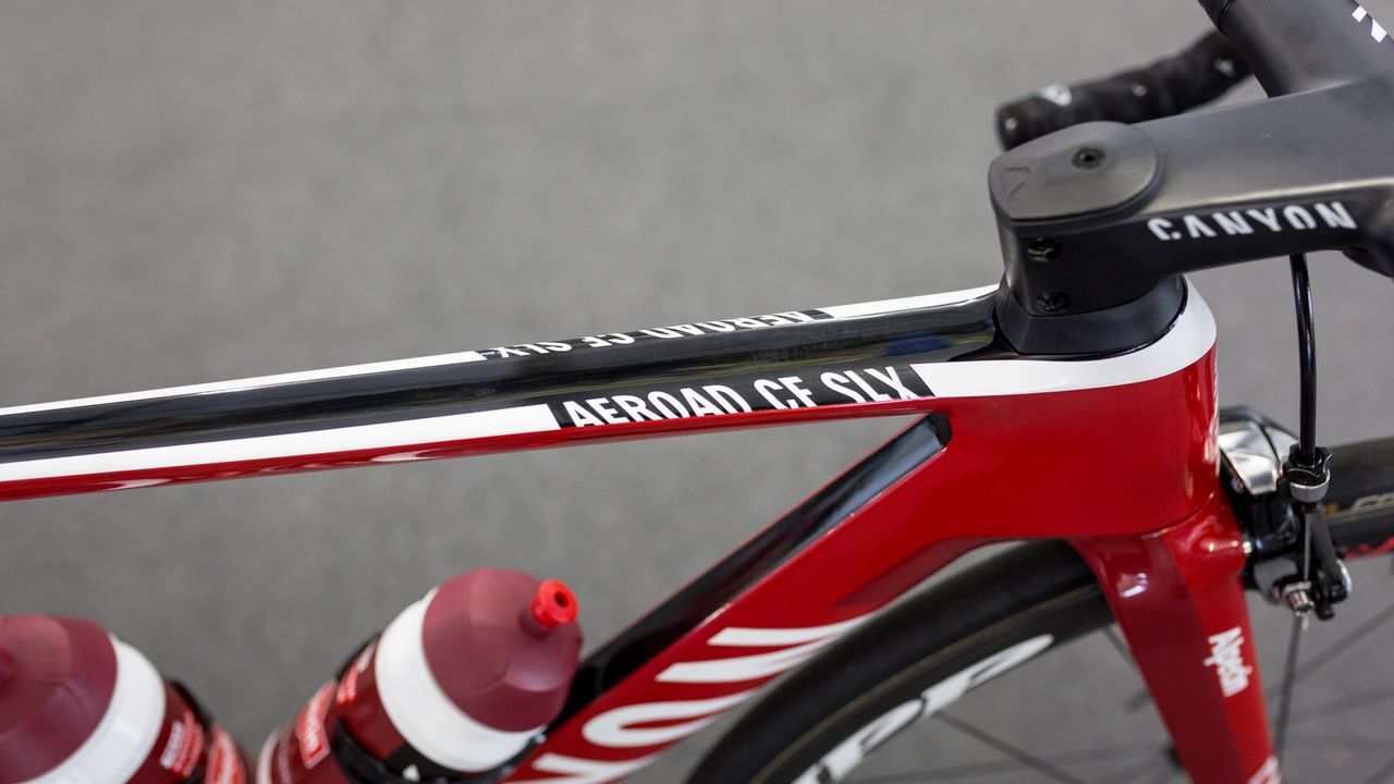 A neat paint design from Canyon