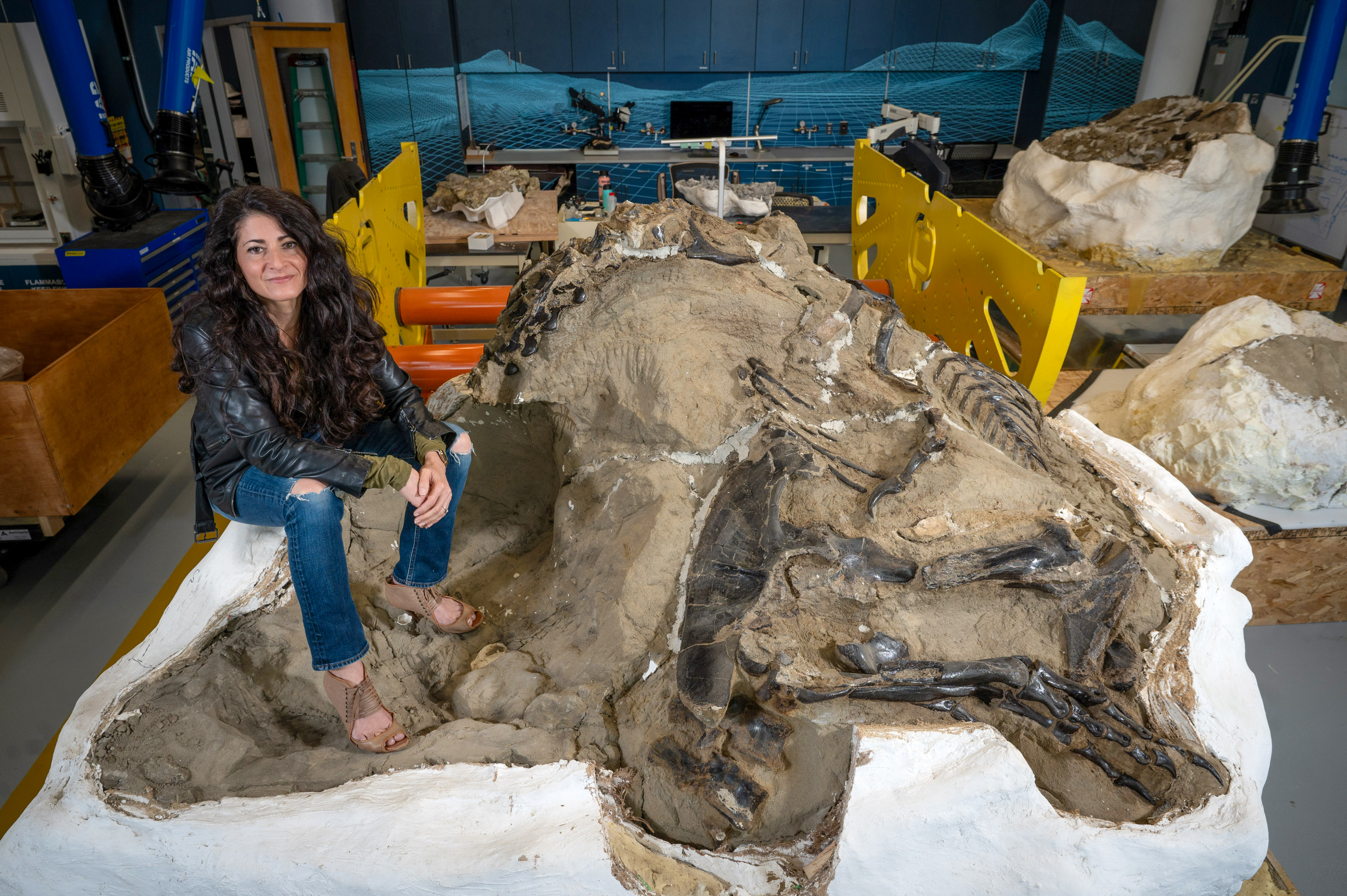 Lindsay Zanno sits next to the large Dueling Dinosaurs fossil.